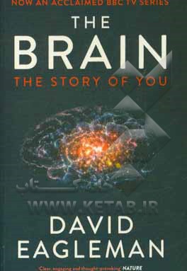 The brain: the story of you